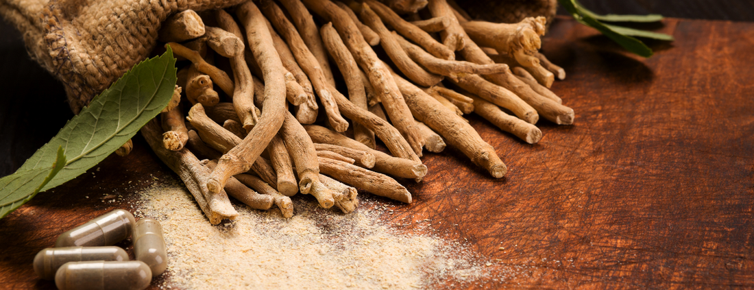 Ashwagandha: A Natural Libido Booster for Enhanced Sexual Wellness