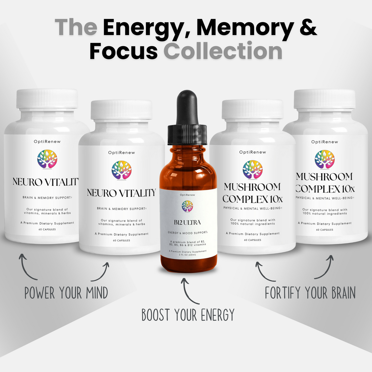 The Energy, Memory & Focus Collection